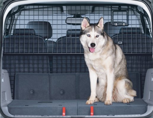 Rám přepážky zavazadlového prostoru pro převoz psů Ford S-MAX
