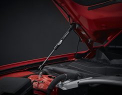 Vzpěry kapoty Ford Performance Mustang