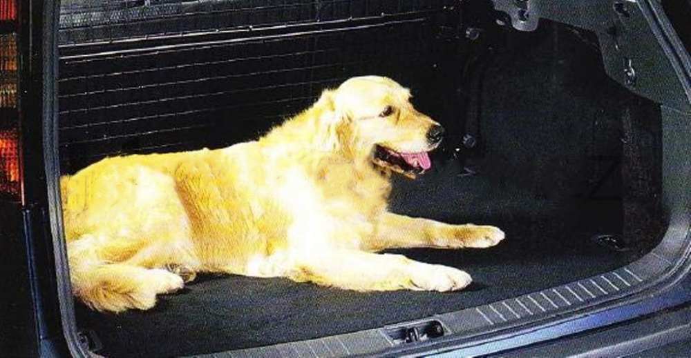 Přepážka zavazadlového prostoru pro převoz psů Ford Galaxy